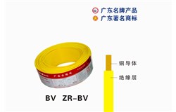 60227 IEC 01（BV）尊龙凯时人生就是搏!官网电缆