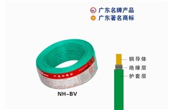 NH-BV尊龙凯时人生就是搏!官网电缆