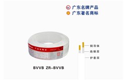 BVVB ZR-BVVB尊龙凯时人生就是搏!官网电缆